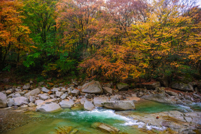 四川光雾山溪流风光