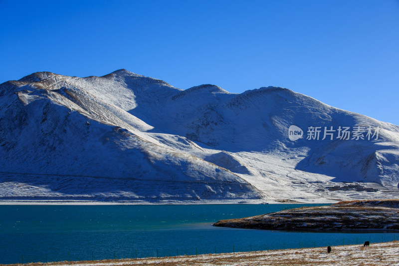 中国西藏羊卓雍措湖羊湖冬季雪景