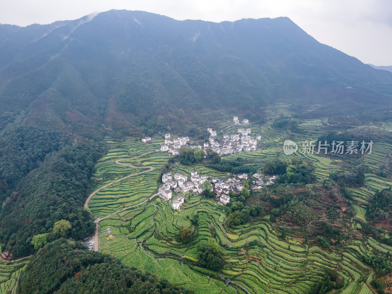 安徽江岭油菜花山谷梯田白墙徽派建筑群航拍