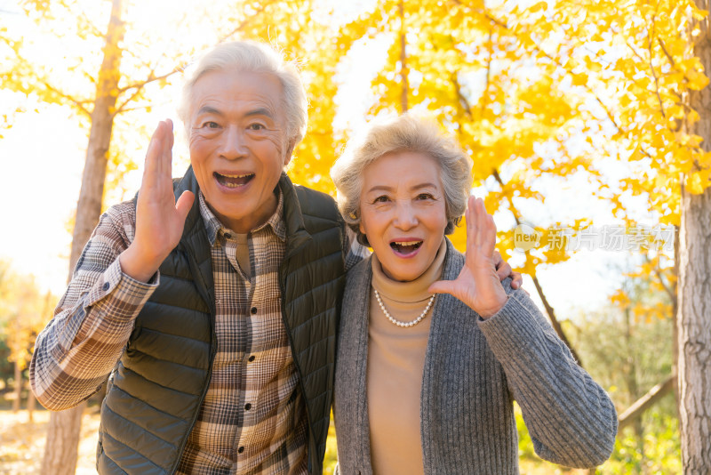 甜蜜的老年夫妻