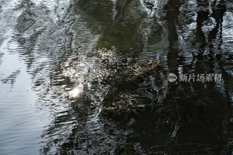 水边孤树立于土堆景象