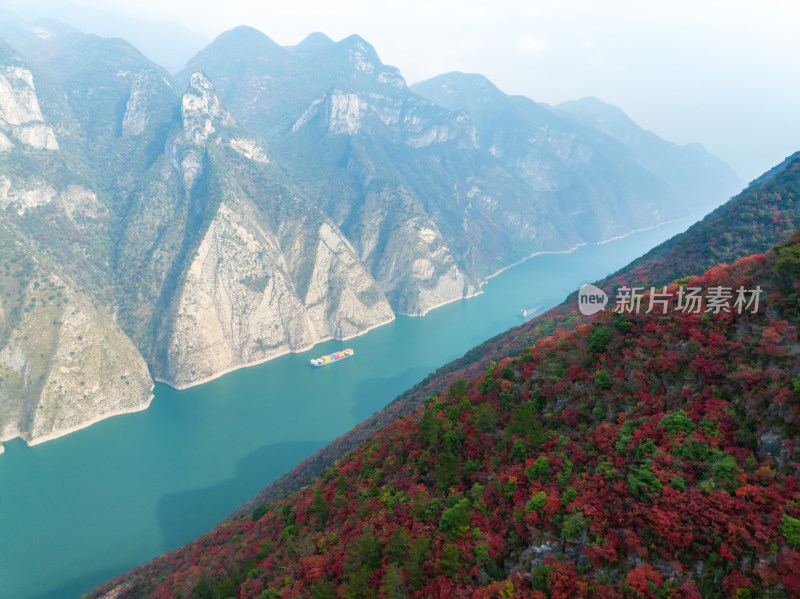 长江三峡巫峡红叶