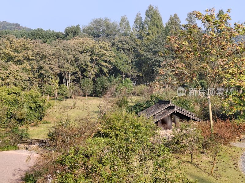 林间小屋自然景致的户外风光