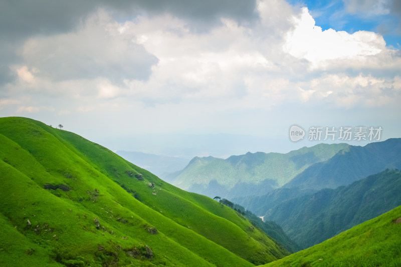 江西武功山高山草甸