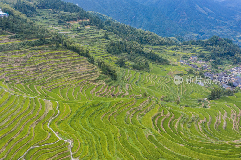 云和梯田景区风光航拍