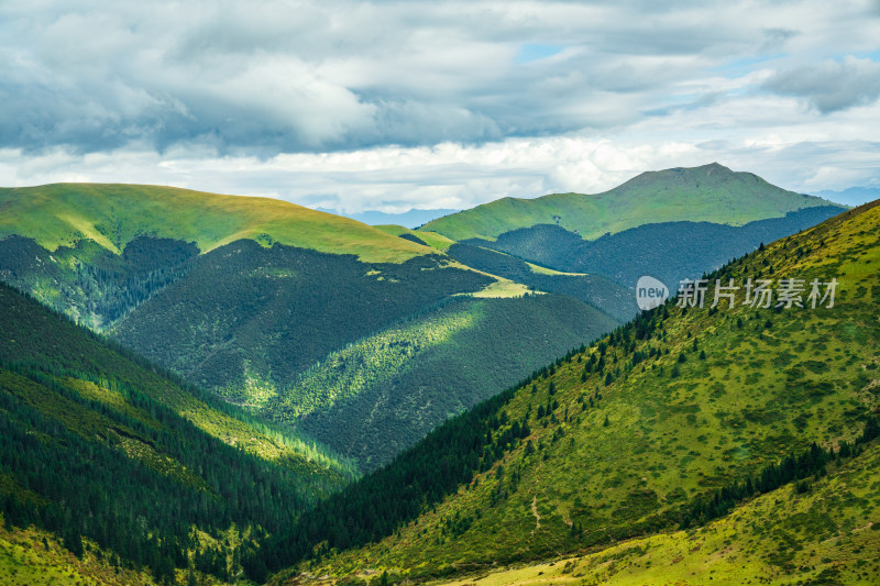 318川藏线川西甘孜高海拔草原雪山自然风光