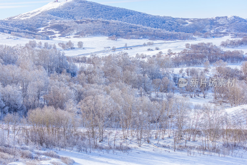 冬天雾凇树挂雪景雪林森林