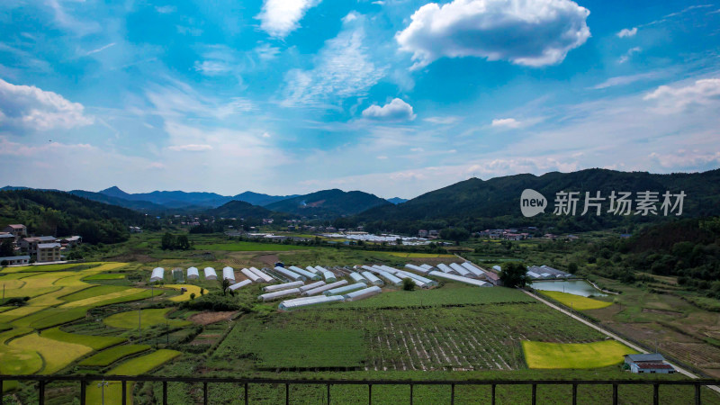 美丽乡村田园农业种植大棚航拍图