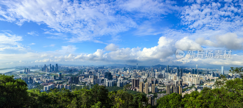 深圳南山公园看南山CBD摩天大楼建筑长图