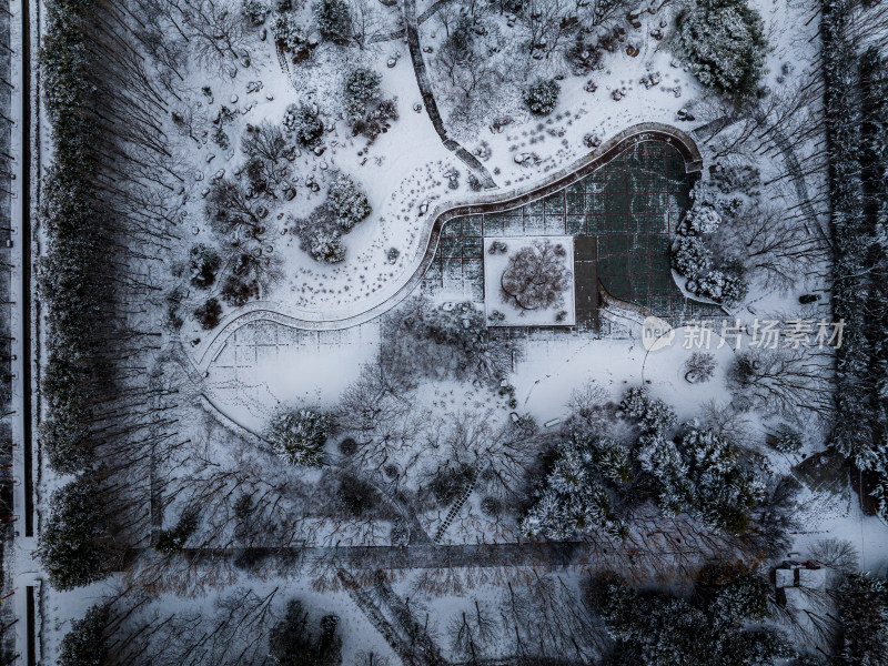 洛阳隋唐植物园雪景
