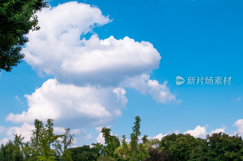 江苏泰州市望海楼景区风景