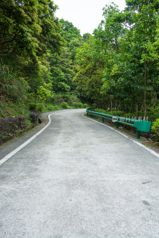 清溪森林公园盘山公路