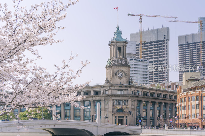 上海邮政博物馆外景与樱花