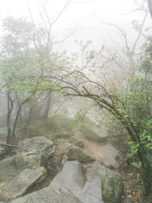 庐山风景区