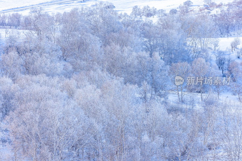 冬天雾凇树挂雪景雪林森林