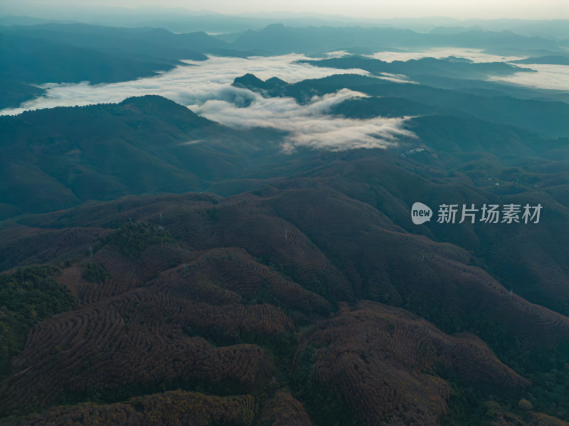 航拍群山中的云海自然风光