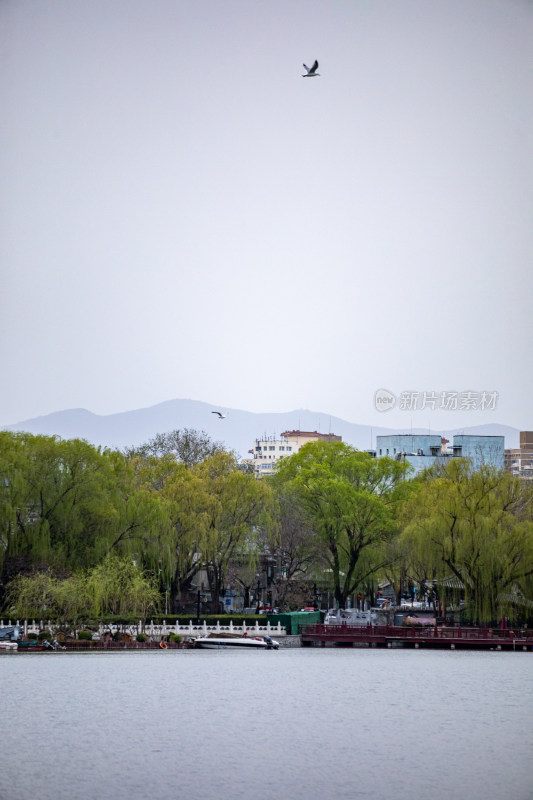 北京什刹海后海公园景点景观