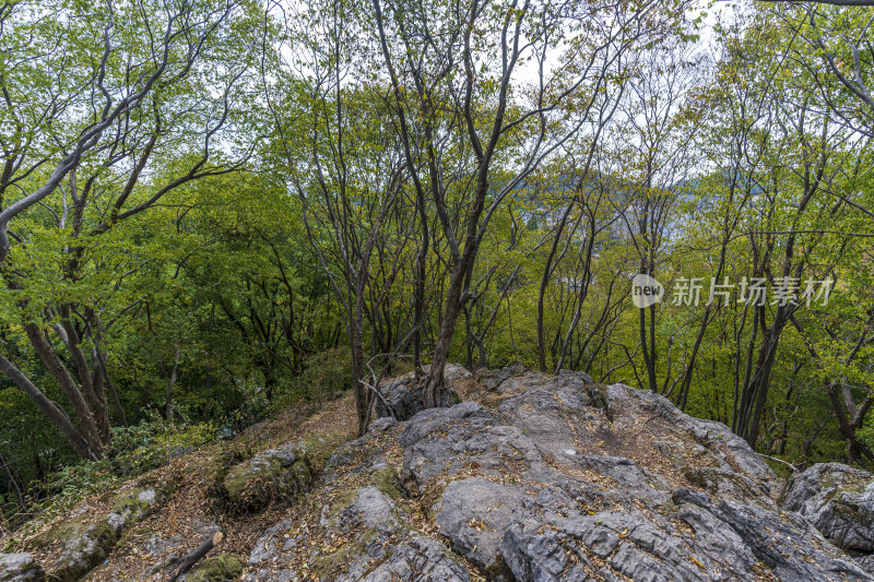 武汉江夏区白云洞景区风景