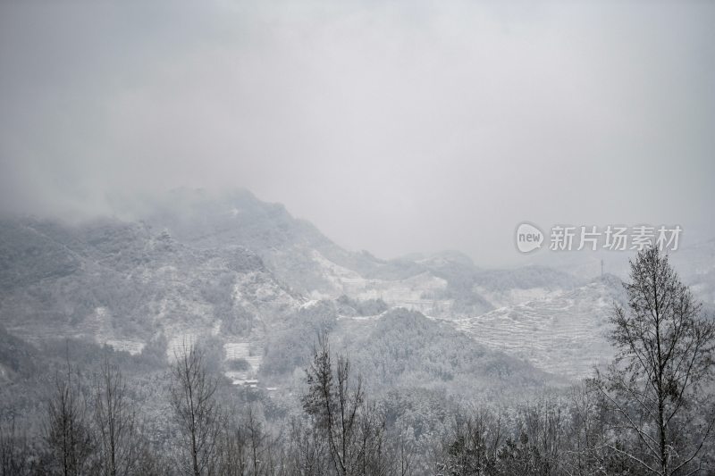 重庆酉阳：千氹田边飞白雪