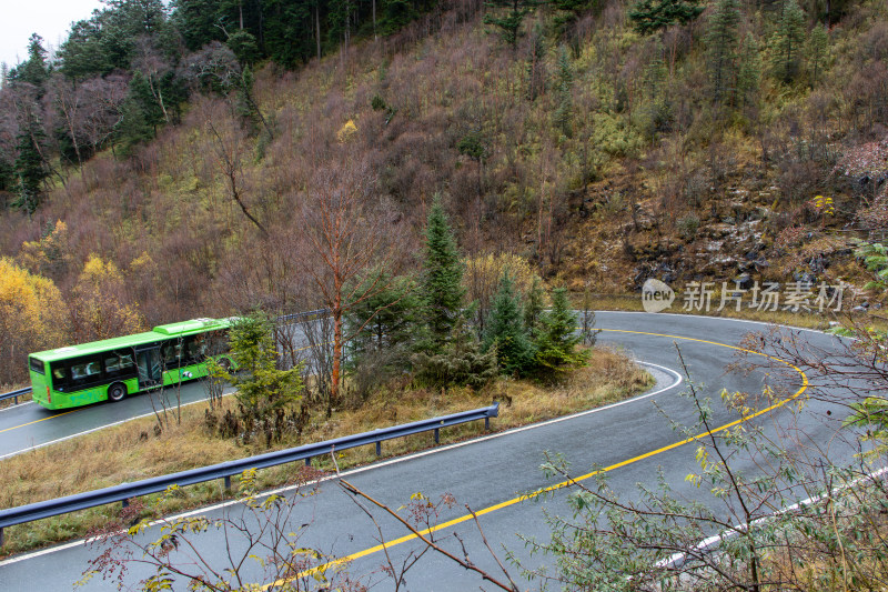 九寨沟秋色，雾中山林公路