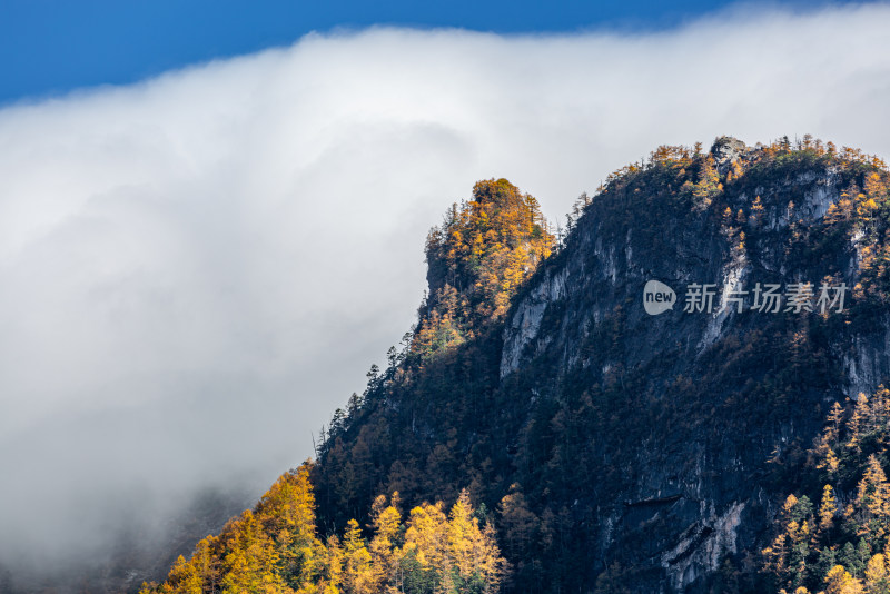 秋季五彩森林山峰云雾