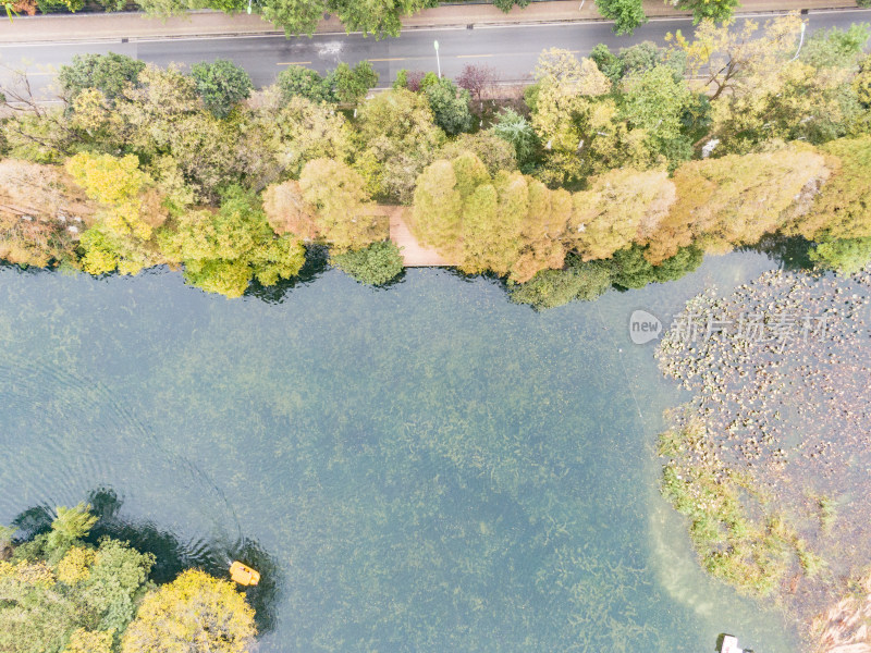 安徽合肥包公园航拍摄影图