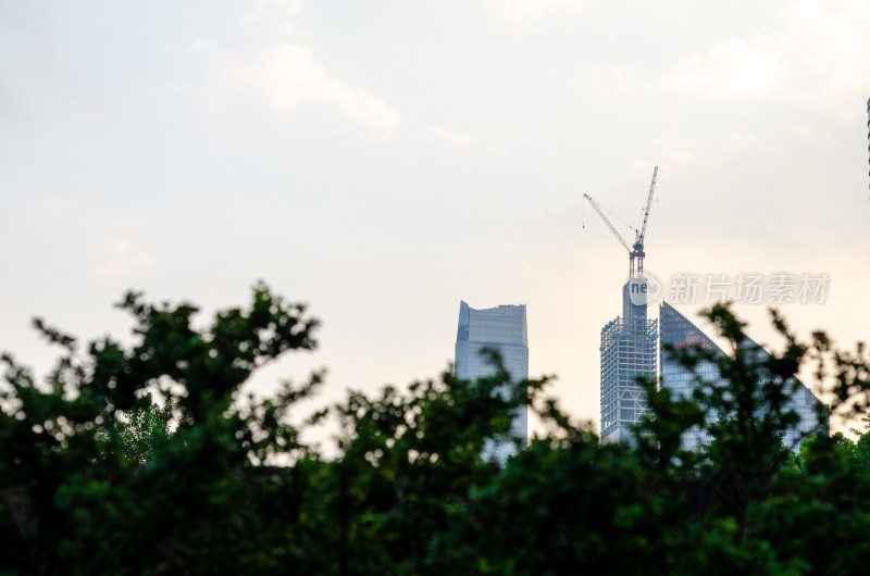 有绿植前景的在建城市高楼景象