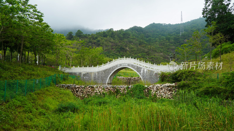 深圳簕杜鹃谷公园自然风景