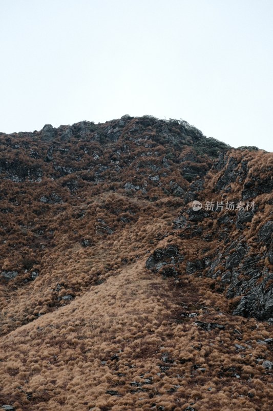 褐色植被覆盖的山地