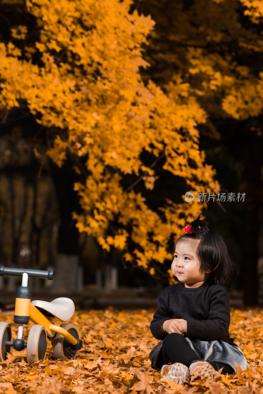 深秋坐在公园落满黄叶的草地上玩耍的女孩