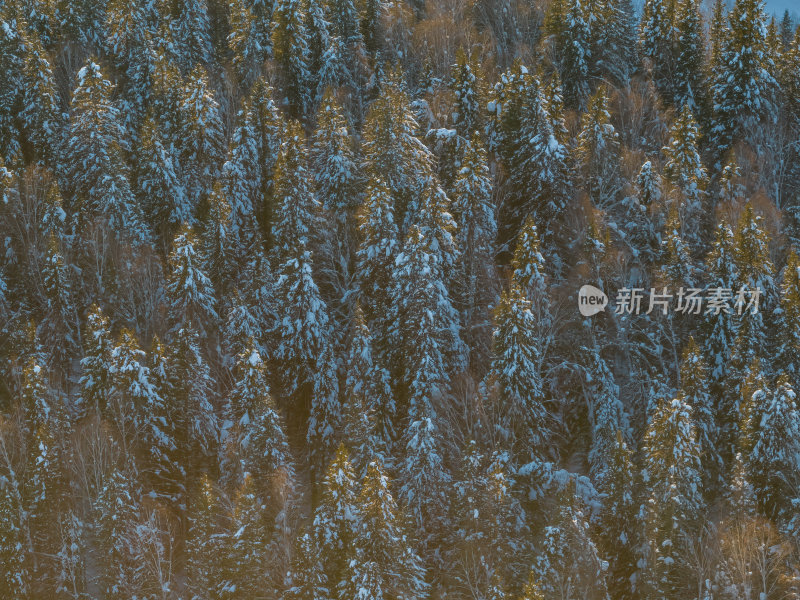 新疆北疆阿勒泰禾木冬季雪景童话世界航拍