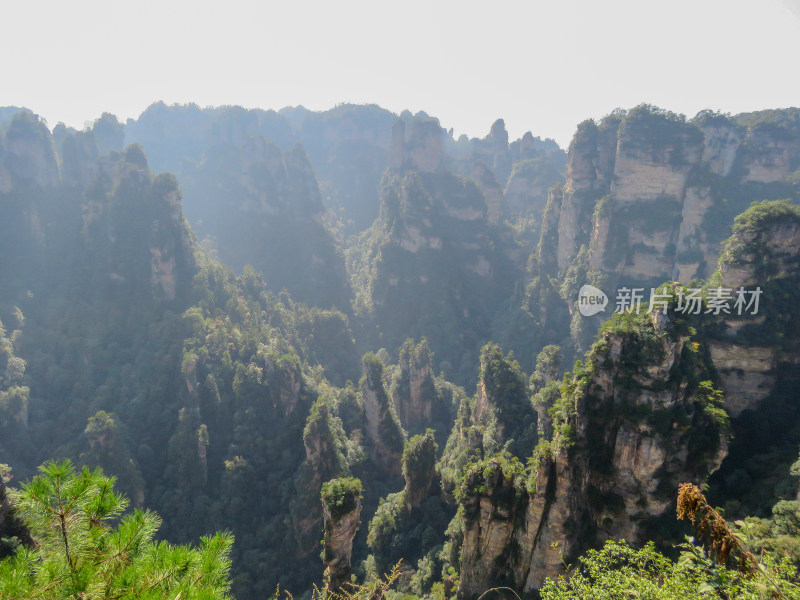 中国湖南张家界国家森林公园旅游风光