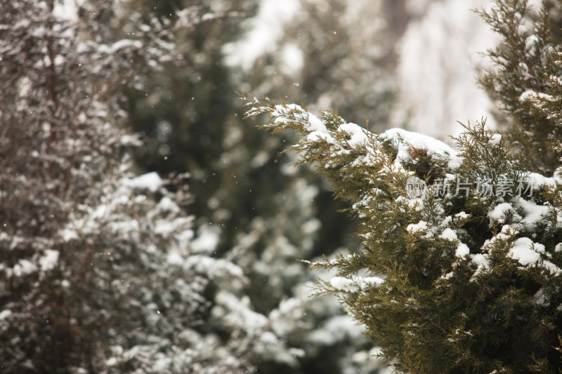 北方雪后的景色