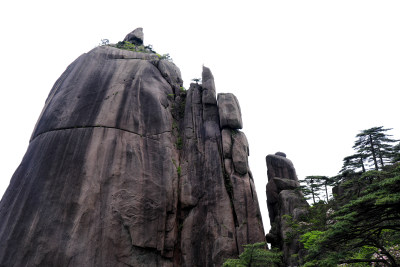 春天黄山自然风光