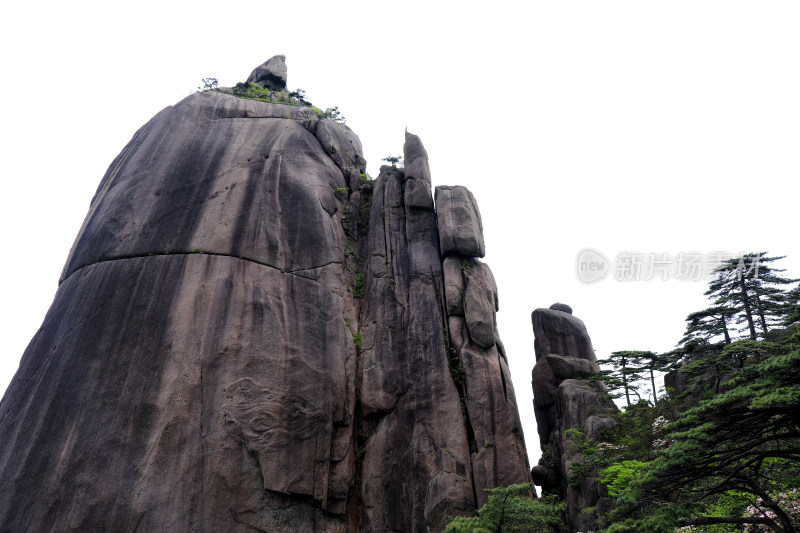 春天黄山自然风光