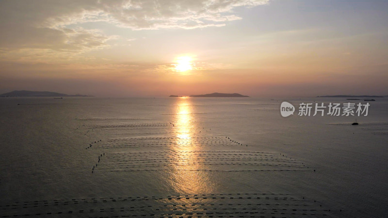 大海海洋