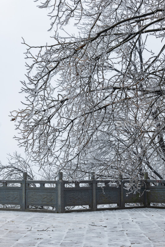 冰雪凝冻雾凇