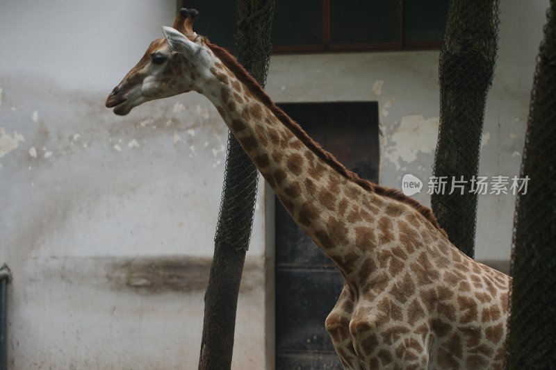 杭州风光 西湖风光