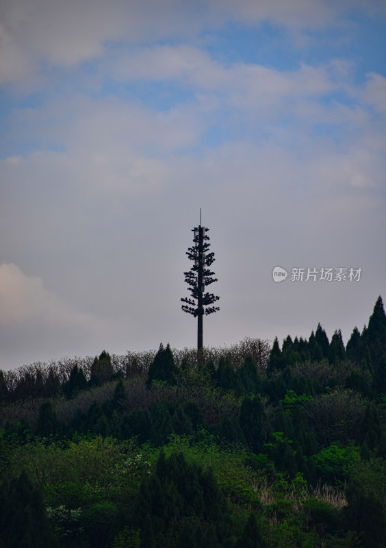 凤垭山风景