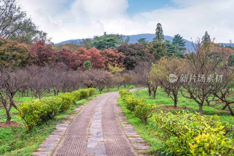 南京钟山风景名胜区明孝陵园林风景