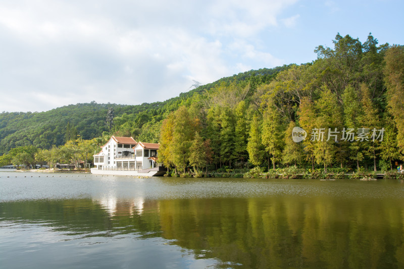 深圳仙湖植物园