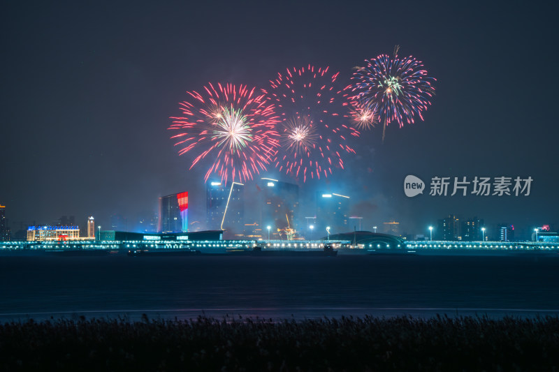 新年夜空中绽放的烟火