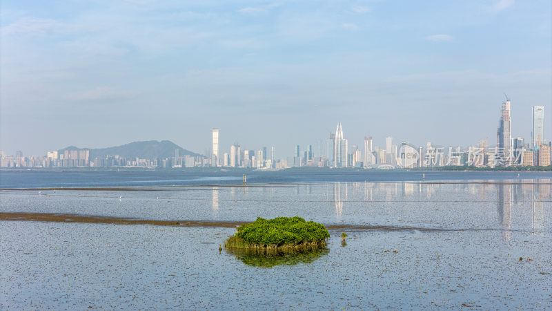 深圳湾公园