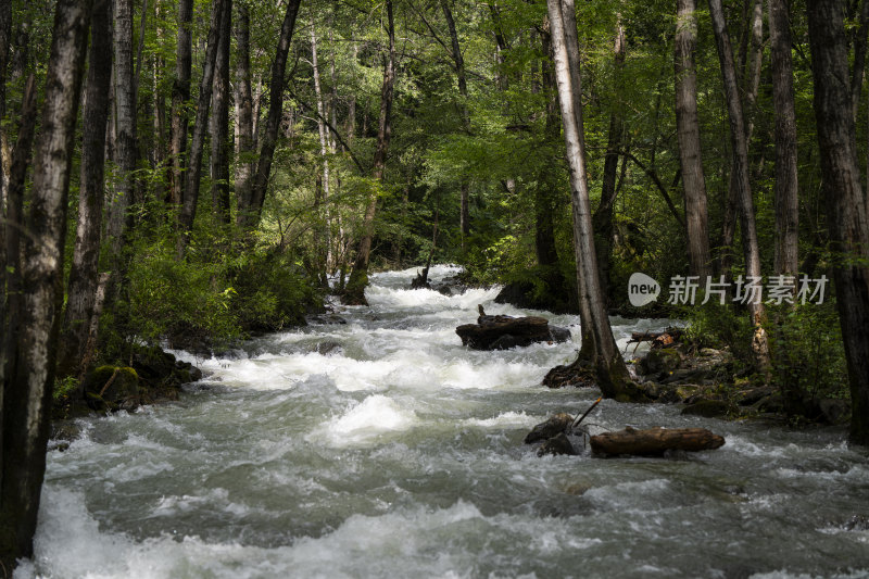 山林峡谷激流涌动水花四溅