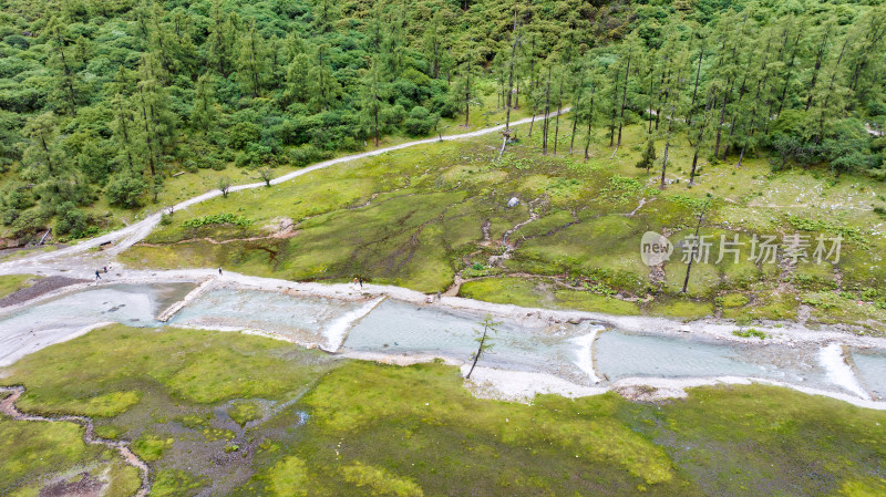 四川阿坝理县毕棚沟景区燕子岩高山草甸