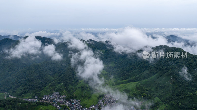 杭州西湖龙井产地梅家坞云雾茶园