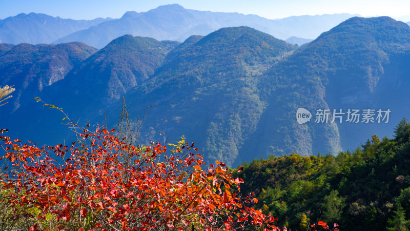 长江三峡巫峡风光