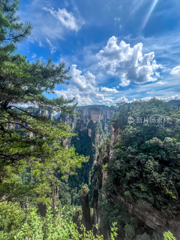 中国湖南张家界景区奇特山峰与茂密森林