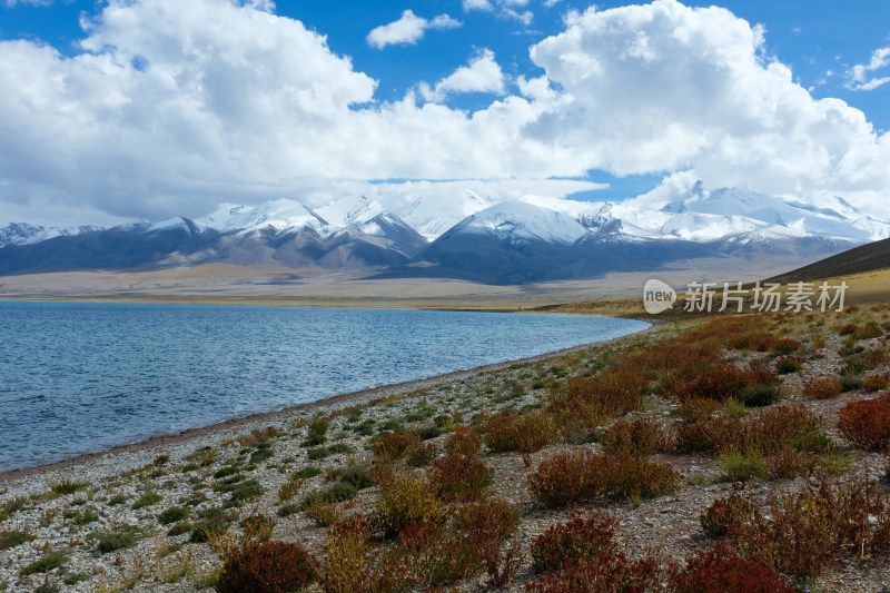 西藏阿里普兰县玛旁雍措与纳木那尼峰风光