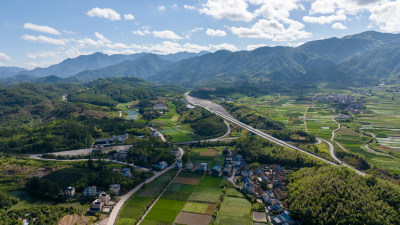 航拍乡村绿色稻田 乡村振兴